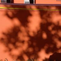 cuccia per cane coimbient