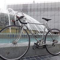 Bicicletta Bottecchia Vintage 1968