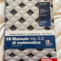 3B Manuale bli 2.0 di matematica - Zanichelli