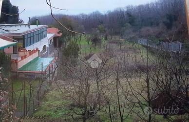 TER. AGRICOLO A NAPOLI