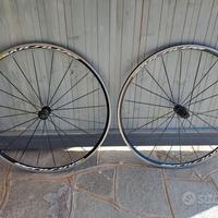 Ruote mavic elit