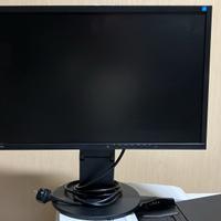 Monitor Eizo