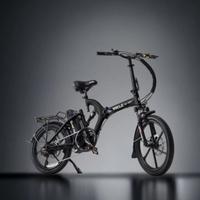 e-bike Miele SXR 48VS