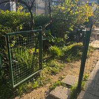 Cancelletto da giardino in ferro