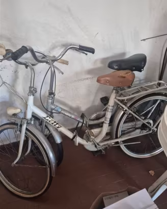 Biciclette stile Graziella 