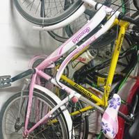 bici ragazza 24'