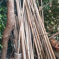 COSE PER ORTO E GIARDINO