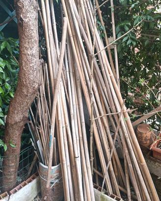 COSE PER ORTO E GIARDINO