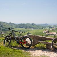 HAIBIKE ALLMTN4 - PARI AL NUOVO