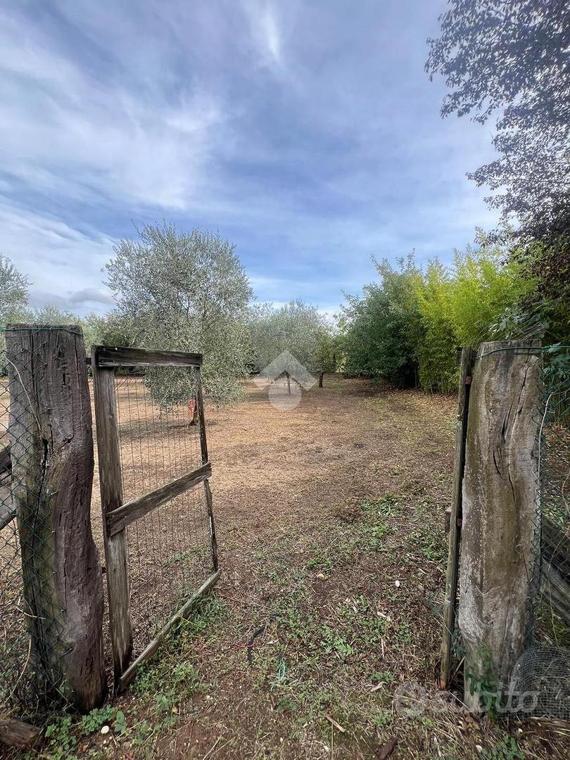 RUSTICO A CORCHIANO - Vista 3