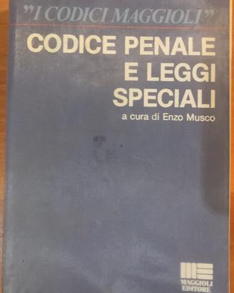 Codice penale e leggi speciali (1991)
