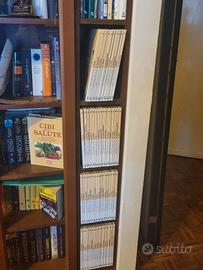 Collana I GRANDI TEMI DELLA CULTURA 