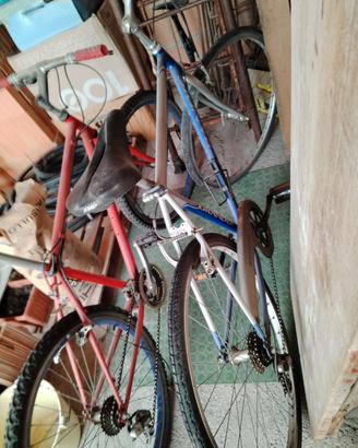 bici Grandis