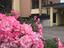 Immagine 3