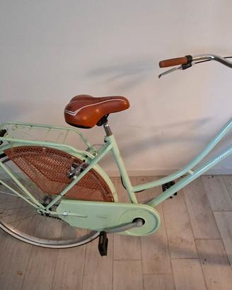 Bicicletta Donna Alpina Bike Olanda  1v