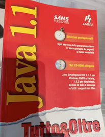 Manuale Java Apogeo v. 1.1