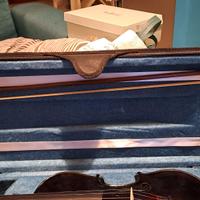 violino