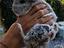 Immagine 1