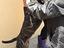 Immagine 5