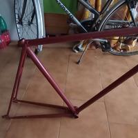 TELAIO BICI COLORE AMARANTO
