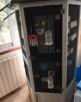 voliere più uccellini