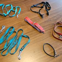 collari guinzagli pettorina cane varie taglie