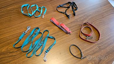 collari guinzagli pettorina cane varie taglie