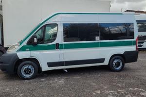 Fiat ducato 2.3 multijet trasporto disabili