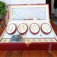 Espositore per Orologi 