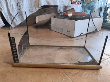 acquario / terrario 