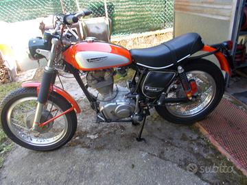 ducati 350 scrambler