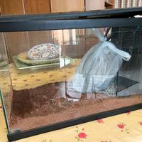 Acquario 60 litro completo