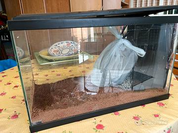 Acquario 60 litro completo