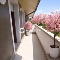 Rif.PL156| appartamento trilocale