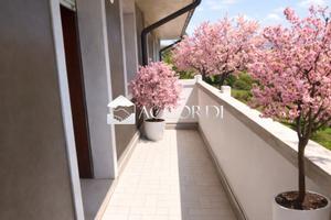 Rif.PL156| appartamento trilocale