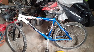 bici mountain bike da uomo ragazzo 