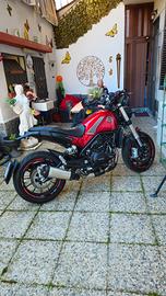 benelli leoncino 500. anno 2022 / 5000 km