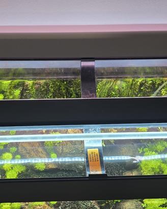Plafoniera Juwel Rio 180 + set led