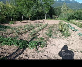 Terreno agricolo