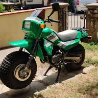 Fantic Koala - 1988 da amatore