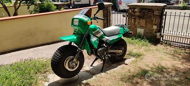 Fantic Koala - 1988 da amatore