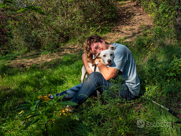 Assistente familiare