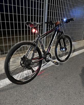 Bicicletta steven