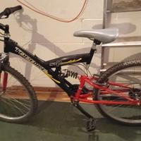 BICICLETTA COME DA FOTO