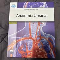 Anatomia