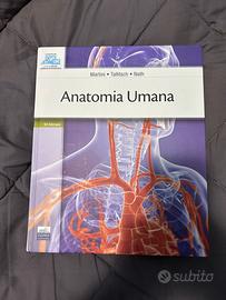 Anatomia