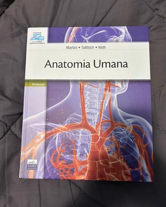 Anatomia