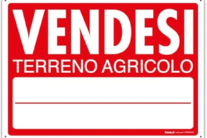 Terreno agricolo a Vasanello