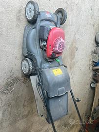 Rasa erba honda