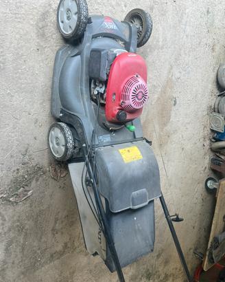 Rasa erba honda